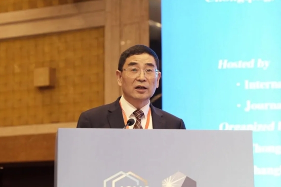 2024国际镁会议周暨第8届国际镁会议和第十三届国际镁合金及其应用大会在重庆成功举办