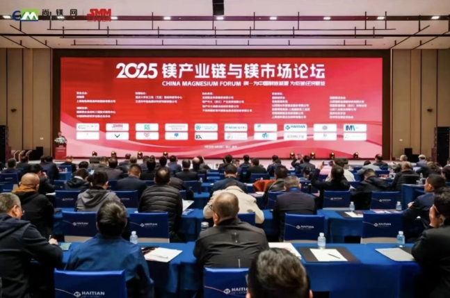 潘复生院士率队出席2025镁产业链与镁市场论坛