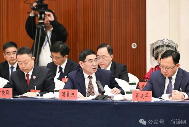 全国人大代表潘复生：重庆的新能源汽车单车用镁量全国第一