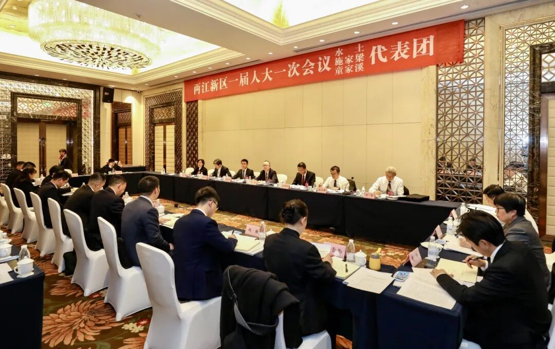 两江新区一届人大一次会议开幕 明月湖实验室王敬丰代表建言科创赋能高质量发展