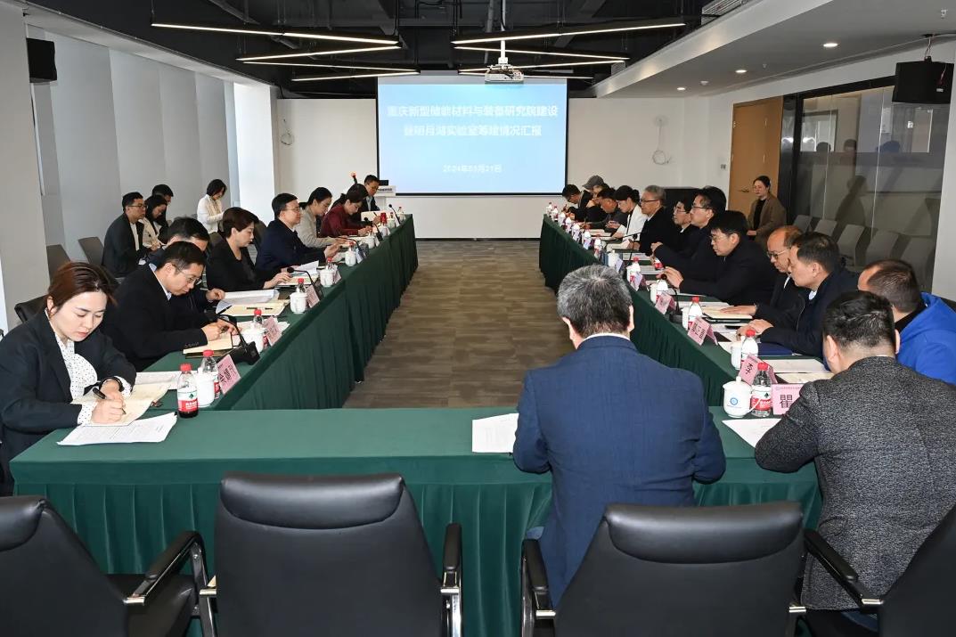 市委常委、两江新区党工委书记罗蔺调研重庆新型储能材料与装备研究院