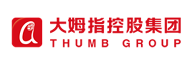 大姆指控股集团