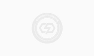 重庆新型储能材料与装备研究院集中学习市委书记袁家军调研指示精神